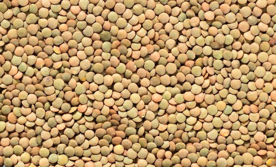 Шпинат і бобові — продукти харчування з високим вмістом магнію