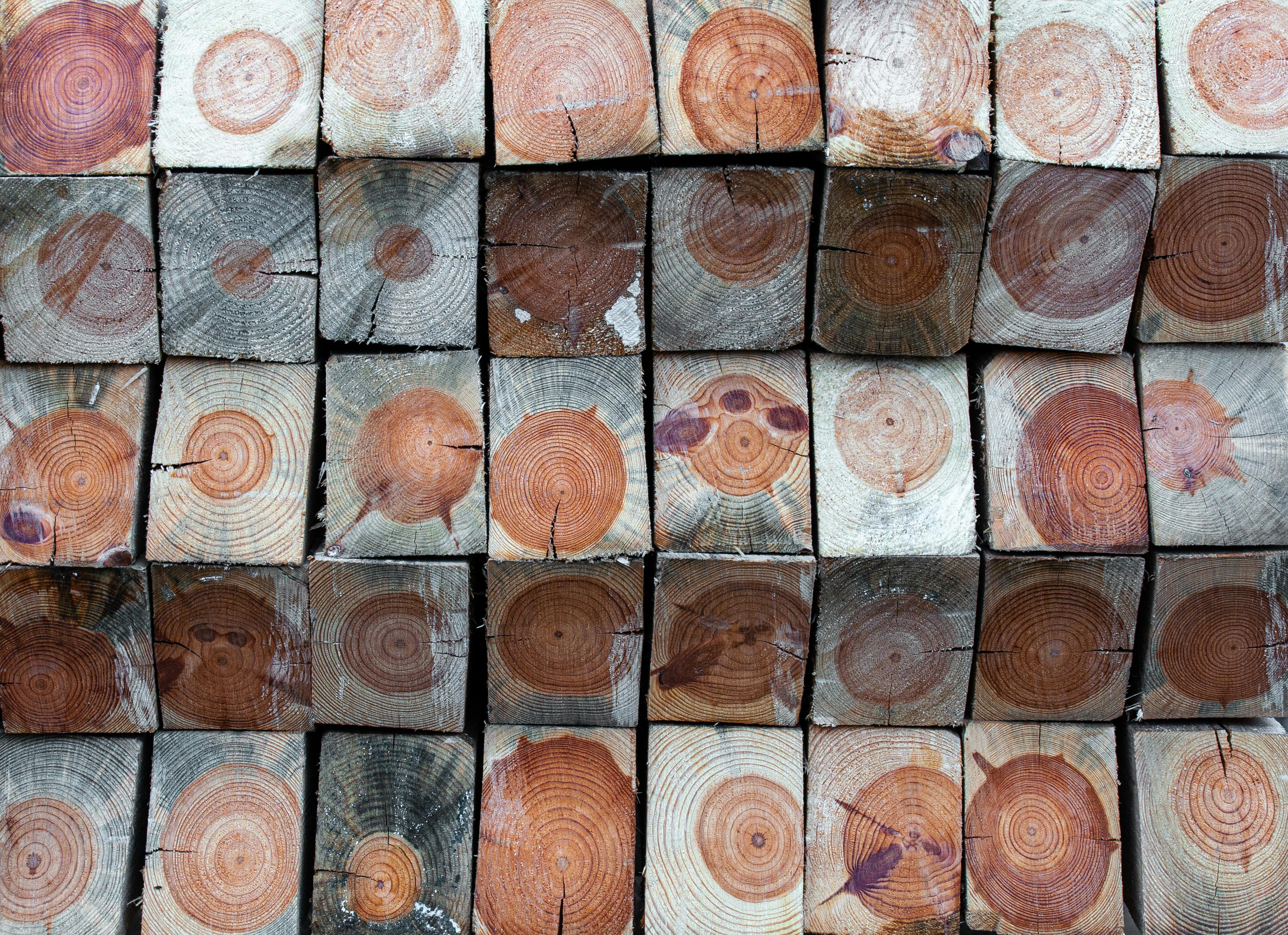 Cross-section showing plywood backing layers in engineered flooring