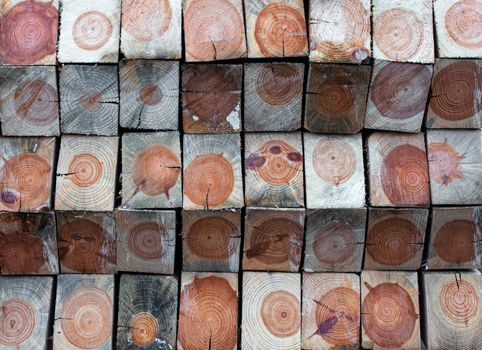 Best Eco-Friendly Wood Choices for Sustainable Bathroom Design
