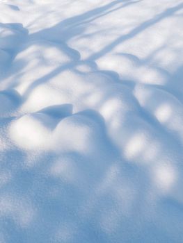 Tranquil winter scene with pristine snow and delicate shadows casting artistic patterns.