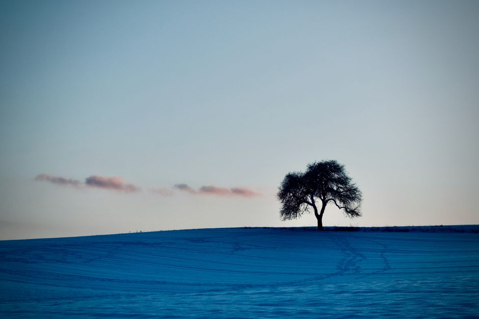 an lonely tree stand in the hill signaling the feelings of loneliness of high-functioning depression an lonely tree stand in the hill signaling the feelings of loneliness of high-functioning depression