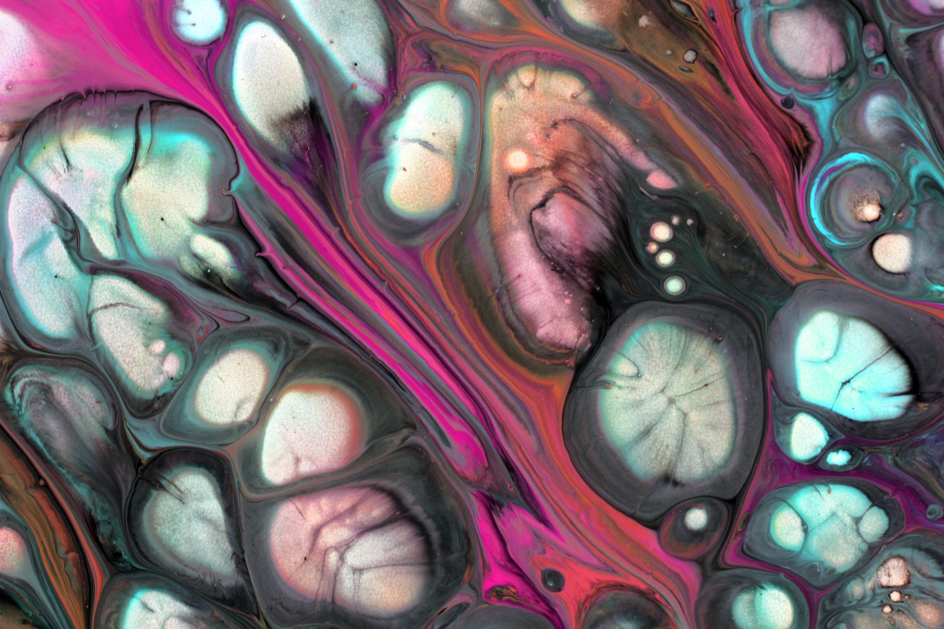 Vibrant abstract fluid art featuring colorful swirls and cell-like structures in pink and teal hues.