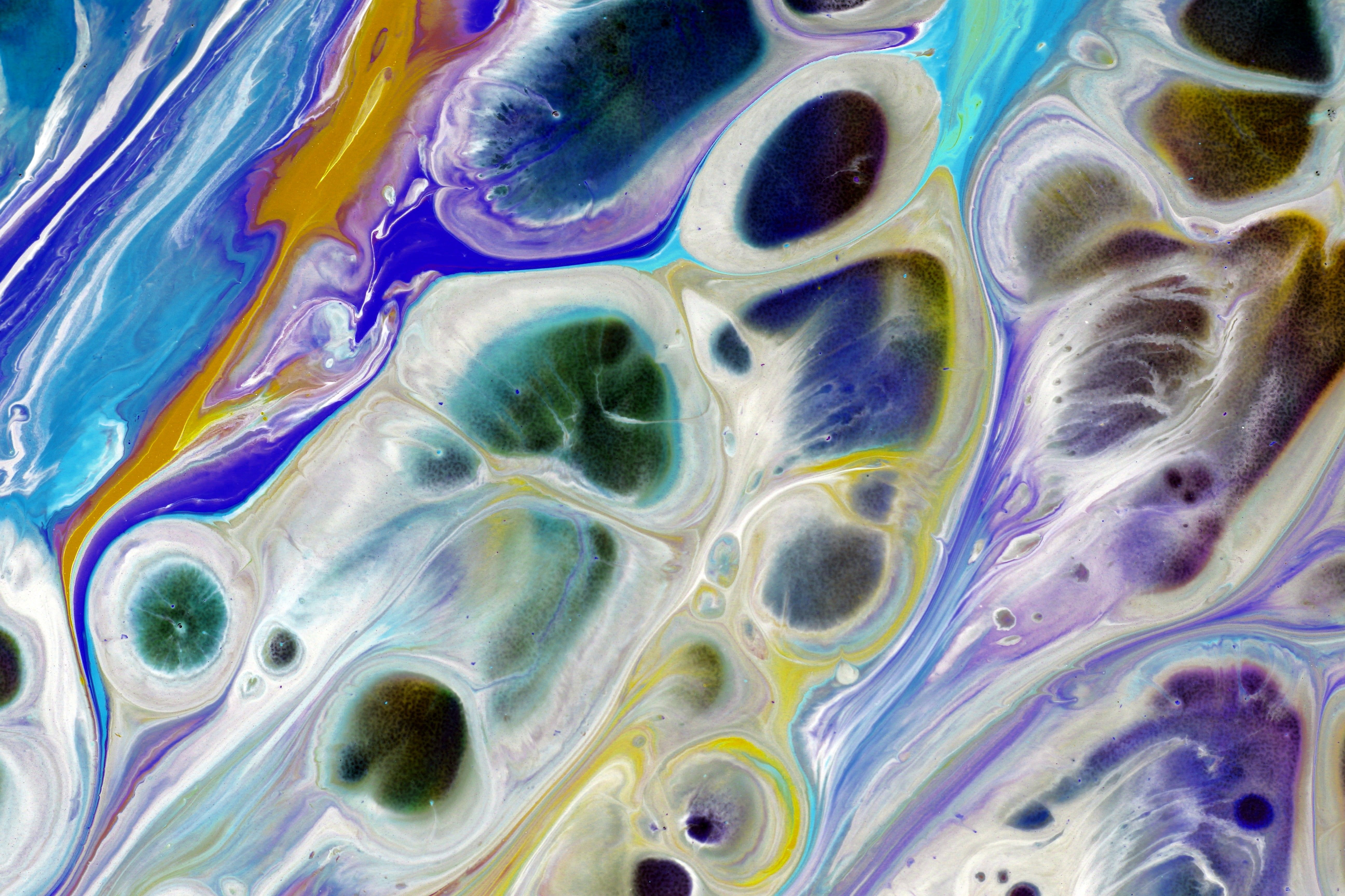 Vibrant Abstract Liquid Art with Flowing Colors · Free Stock Photo