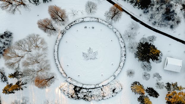 Stunning aerial view of a snow-covered park featuring a circular pattern of trees in winter.