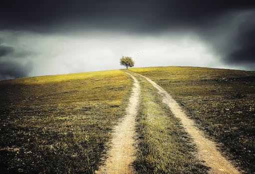 Free stock photo of landscape, clouds, field, countryside