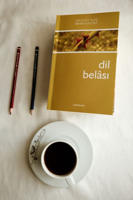 Dil kursu için araştırma yapan bir kişi