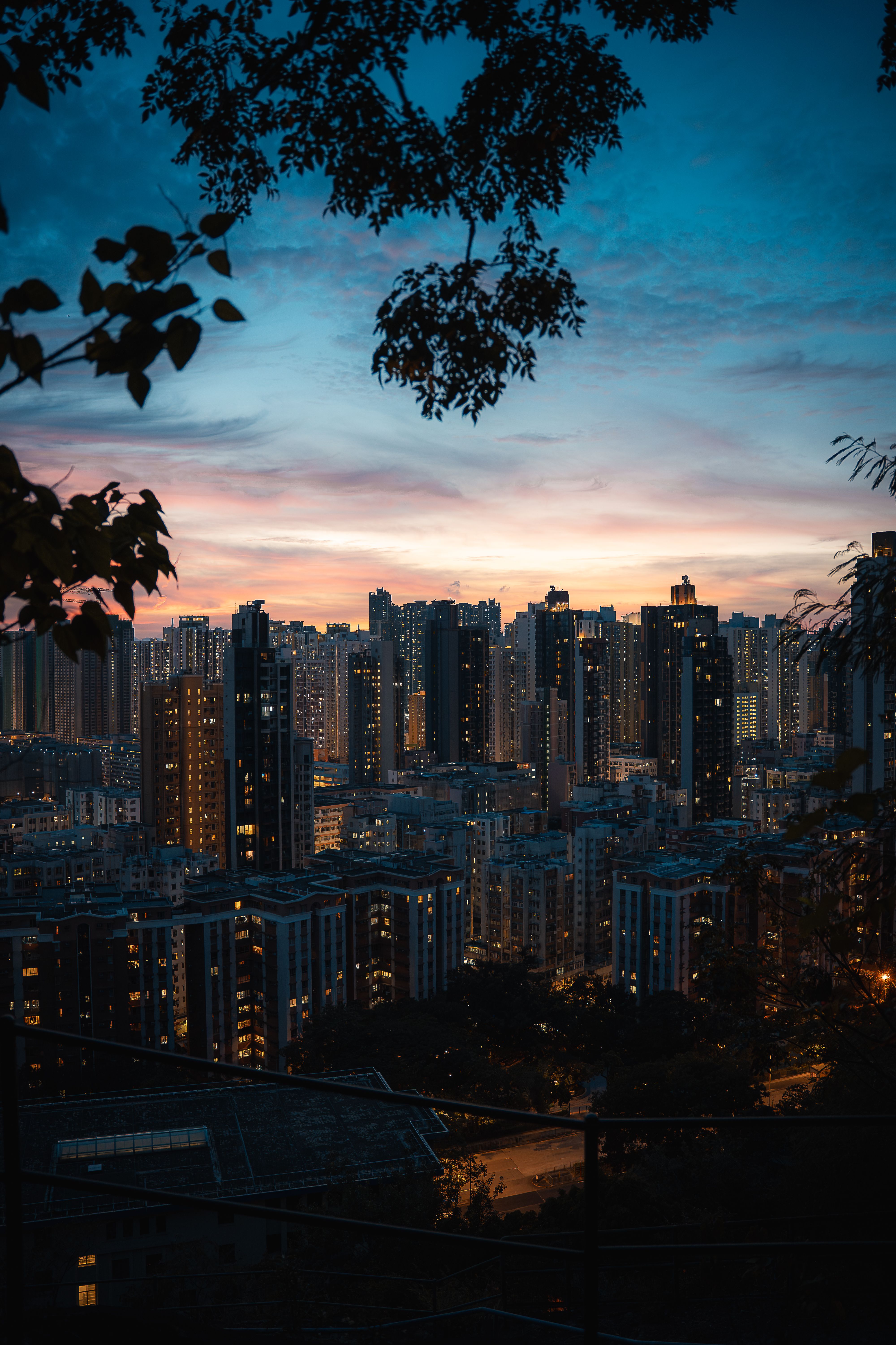 Business growth and market expansion strategy