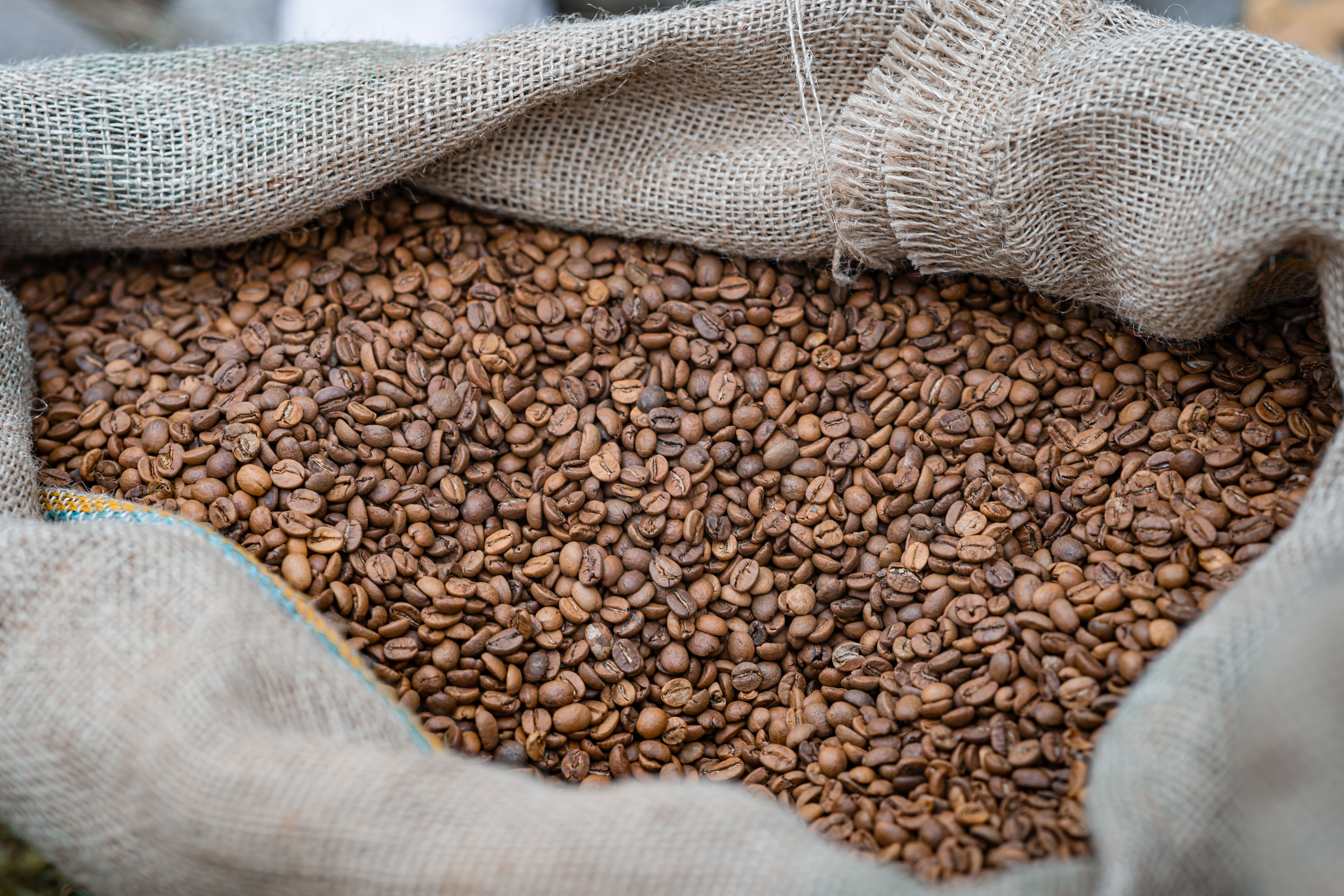 A close-up view of medium roast coffee beans in a burlap sack, ready for brewing.