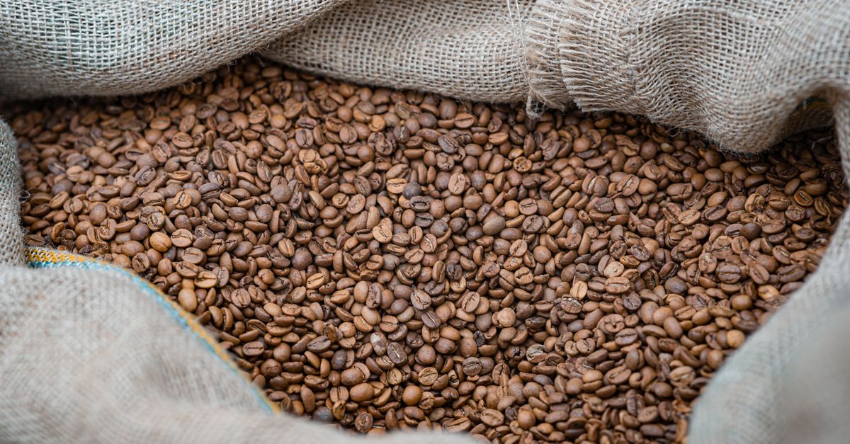 Capsules Réutilisables : Écologique et Économique