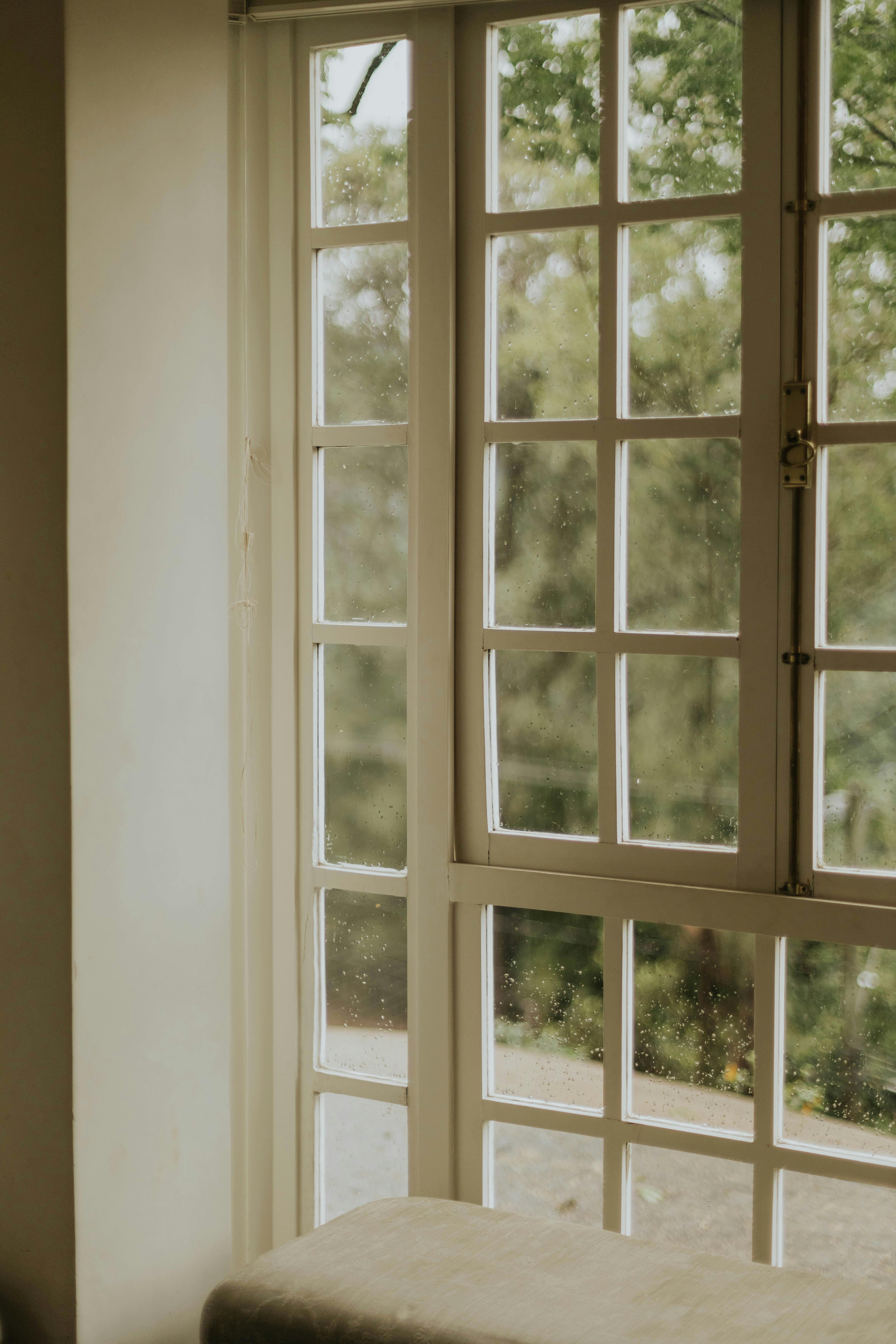 Gratis Vista tranquila desde la ventana con luz suave que se filtra y crea una atmósfera cálida y acogedora. Foto de stock
