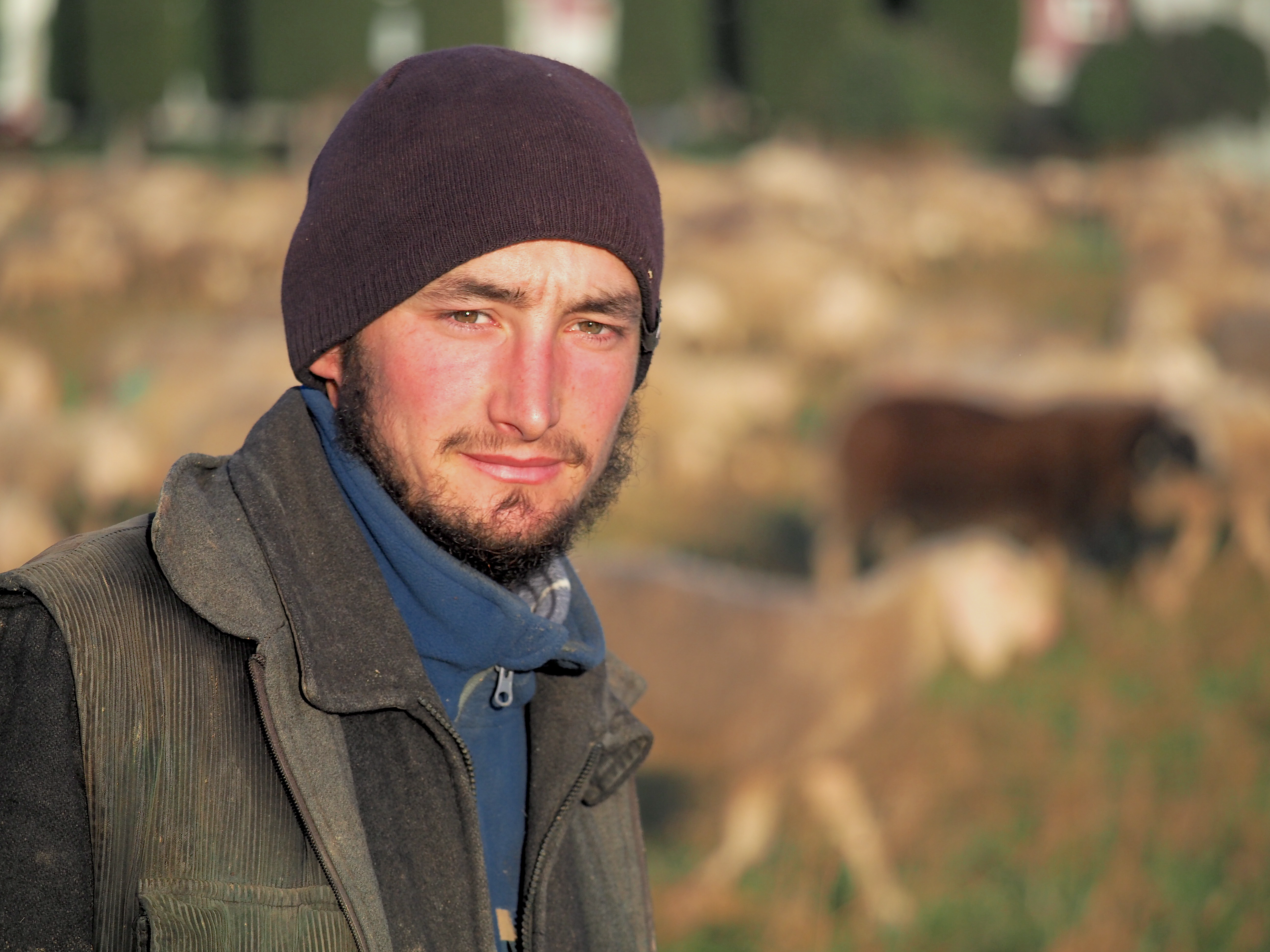Portrait of a Shepherd with a Beanie Outdoors · Free Stock Photo