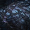 Dark iridescent plumage texture by Jim M. on Pexels