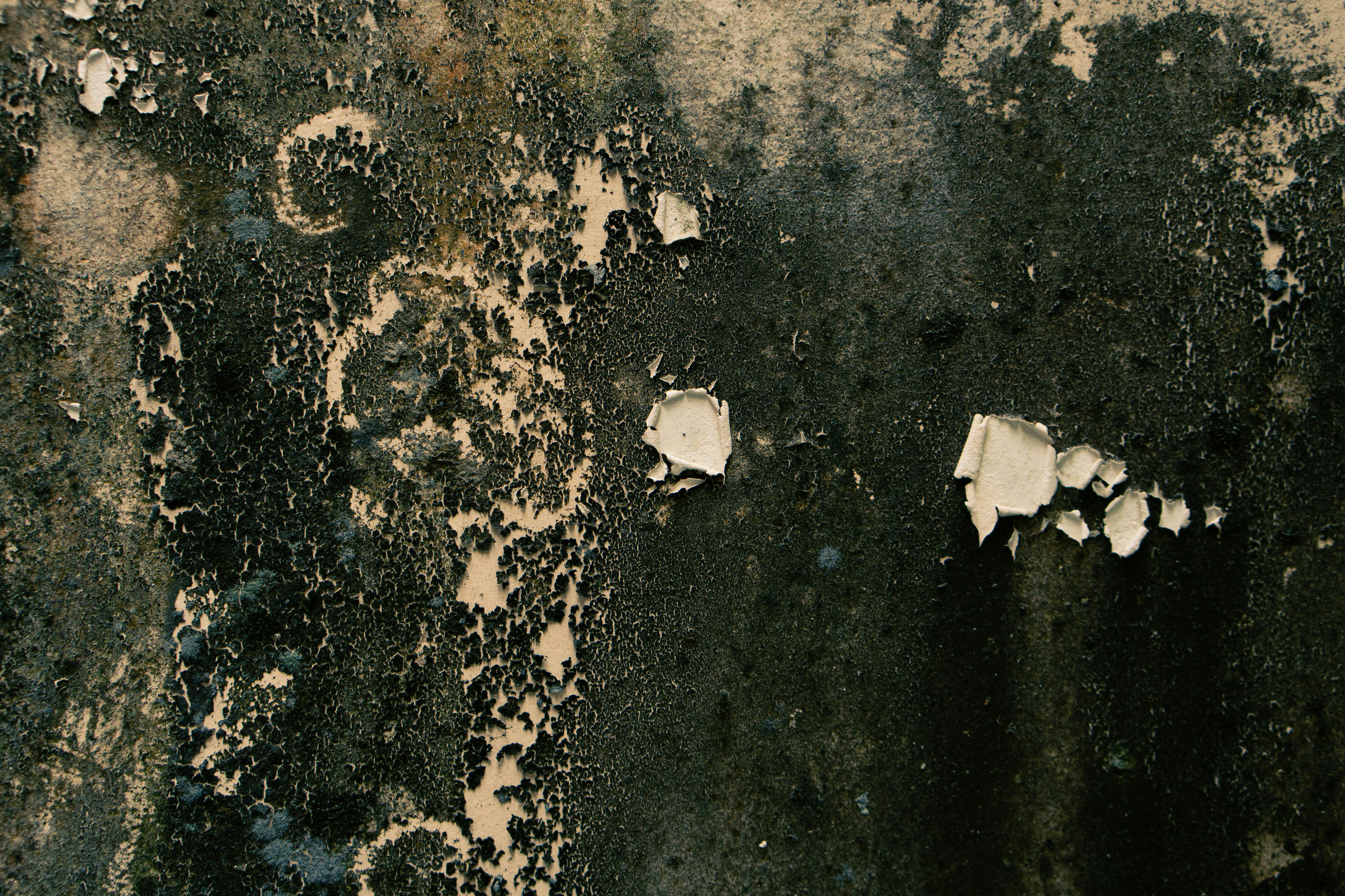 Close-up of a decayed wall showing peeling paint texture and dark patterns, artistic abstract view.