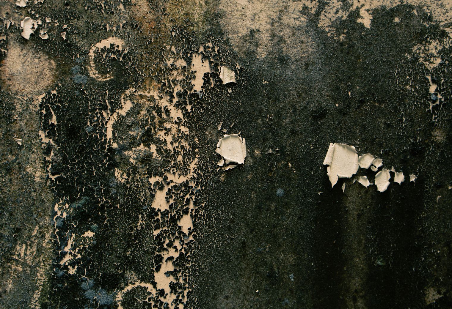 Plastering and Skimming in Hatton — clean edges cut in around trim and sockets