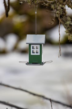 Charming birdhouse hanging outdoors, capturing the rustic beauty of Swedish nature.
