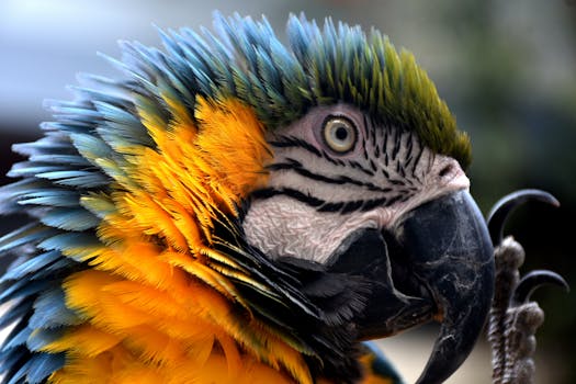 Detailed close-up photo of a blue and yellow macaw with vivid feathers and intricate patterns.