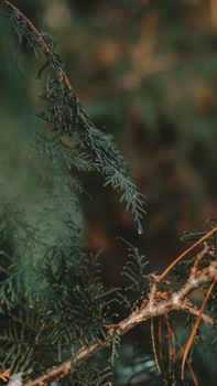 Image by Мартич Анна