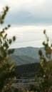 Scenic Mountain View Through Trees