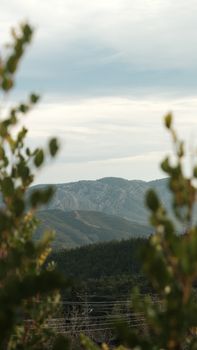 Image by Rahime Gül