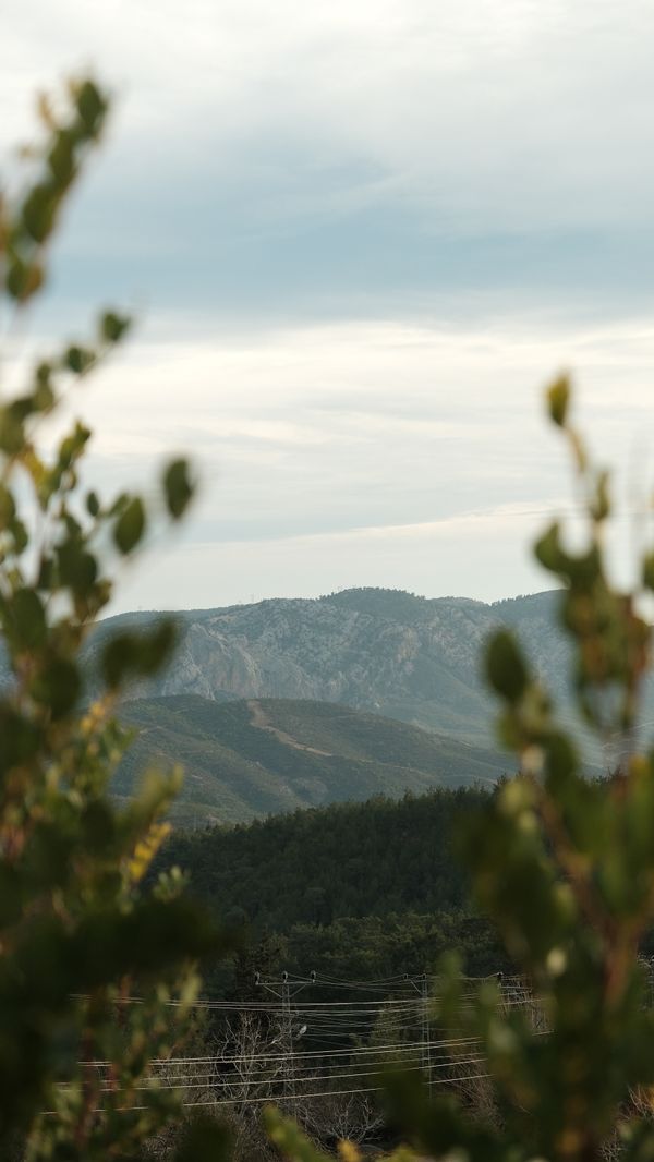 Uma vista cênica da montanha emoldurada por folhagem verde sob um céu nublado.
