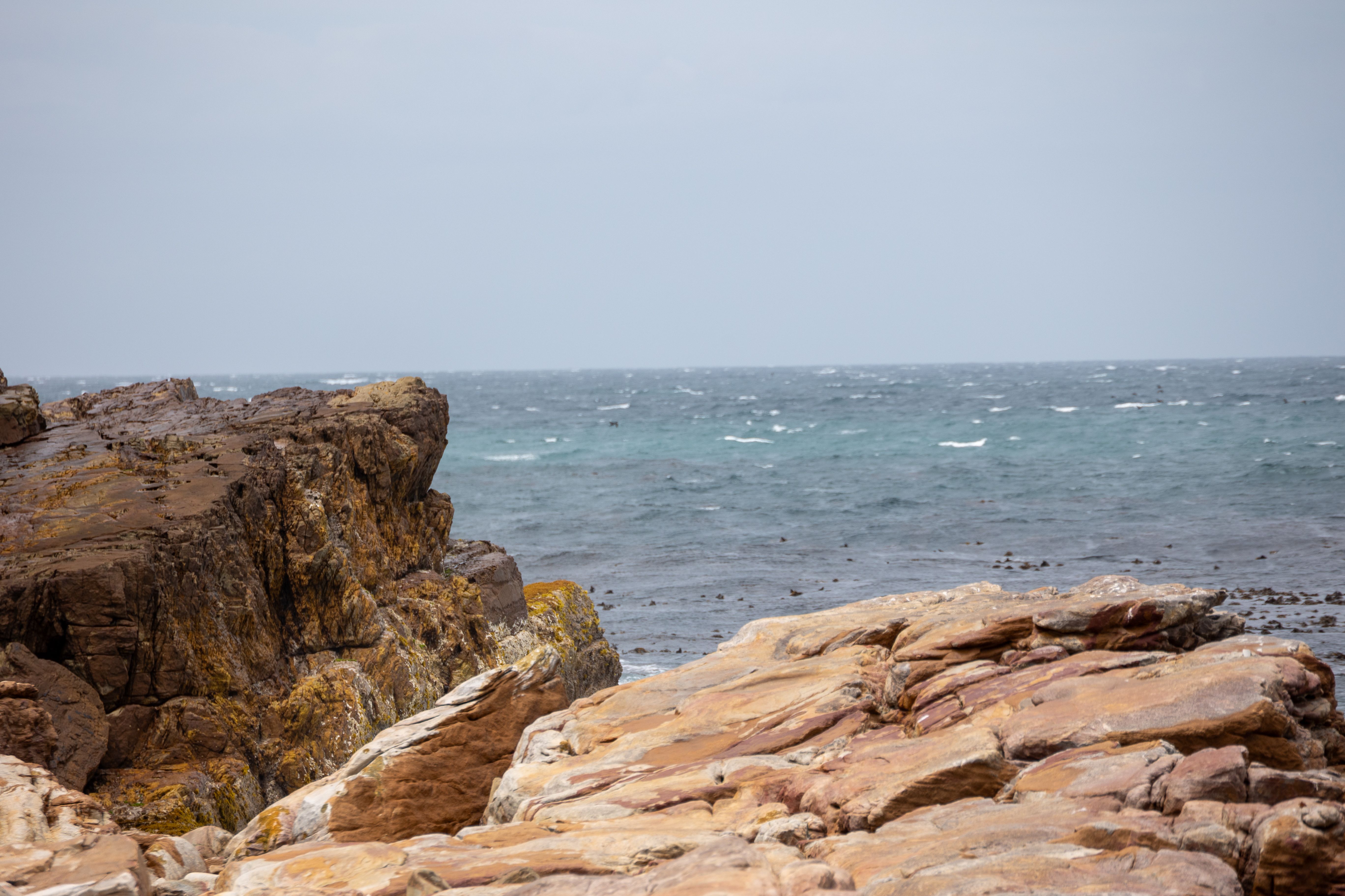 Aller déjeuner à Paternoster