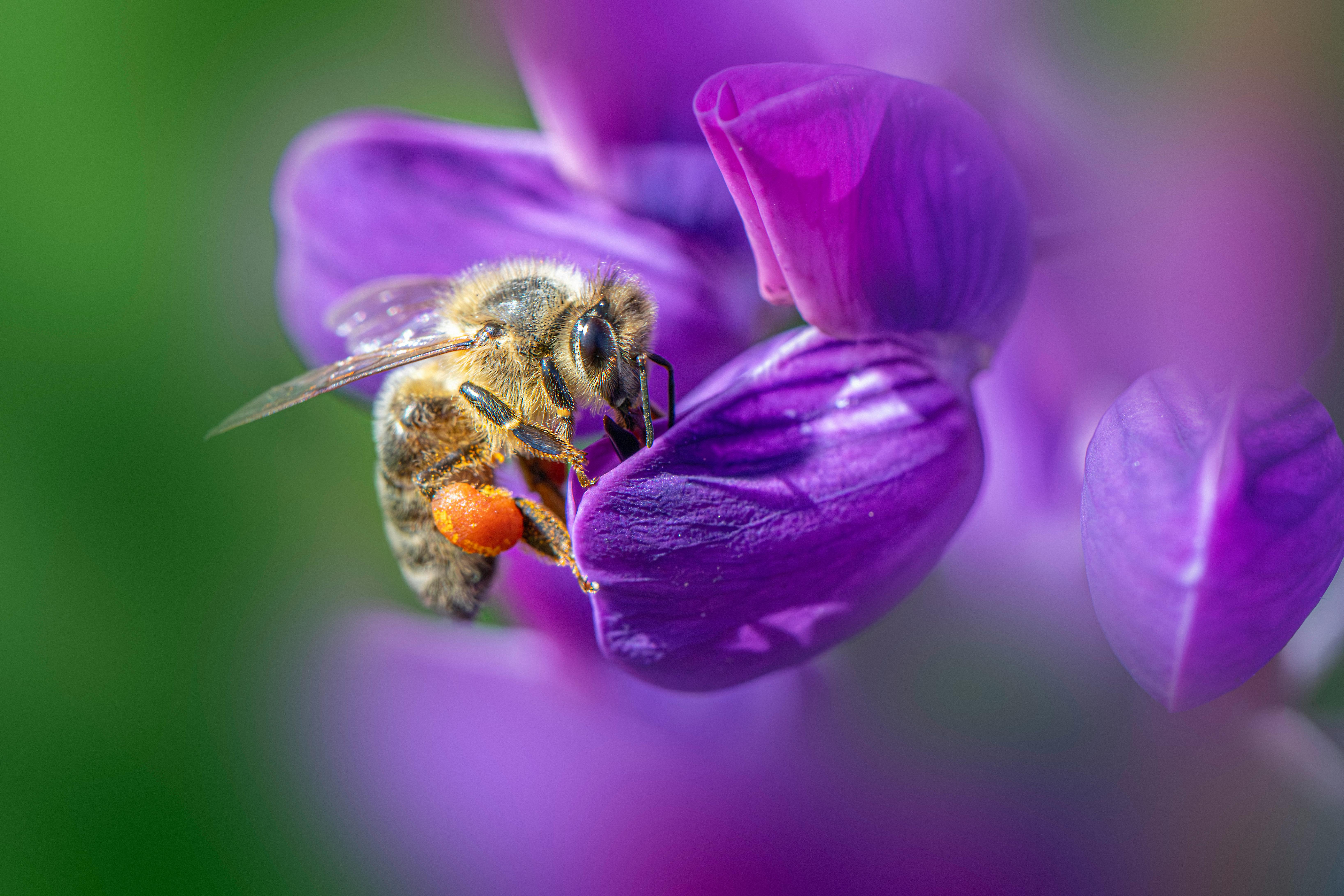 Ark Valley Civics Bee Competition to Send Three Local Students to State — Photo by Erik Karits on Pexels