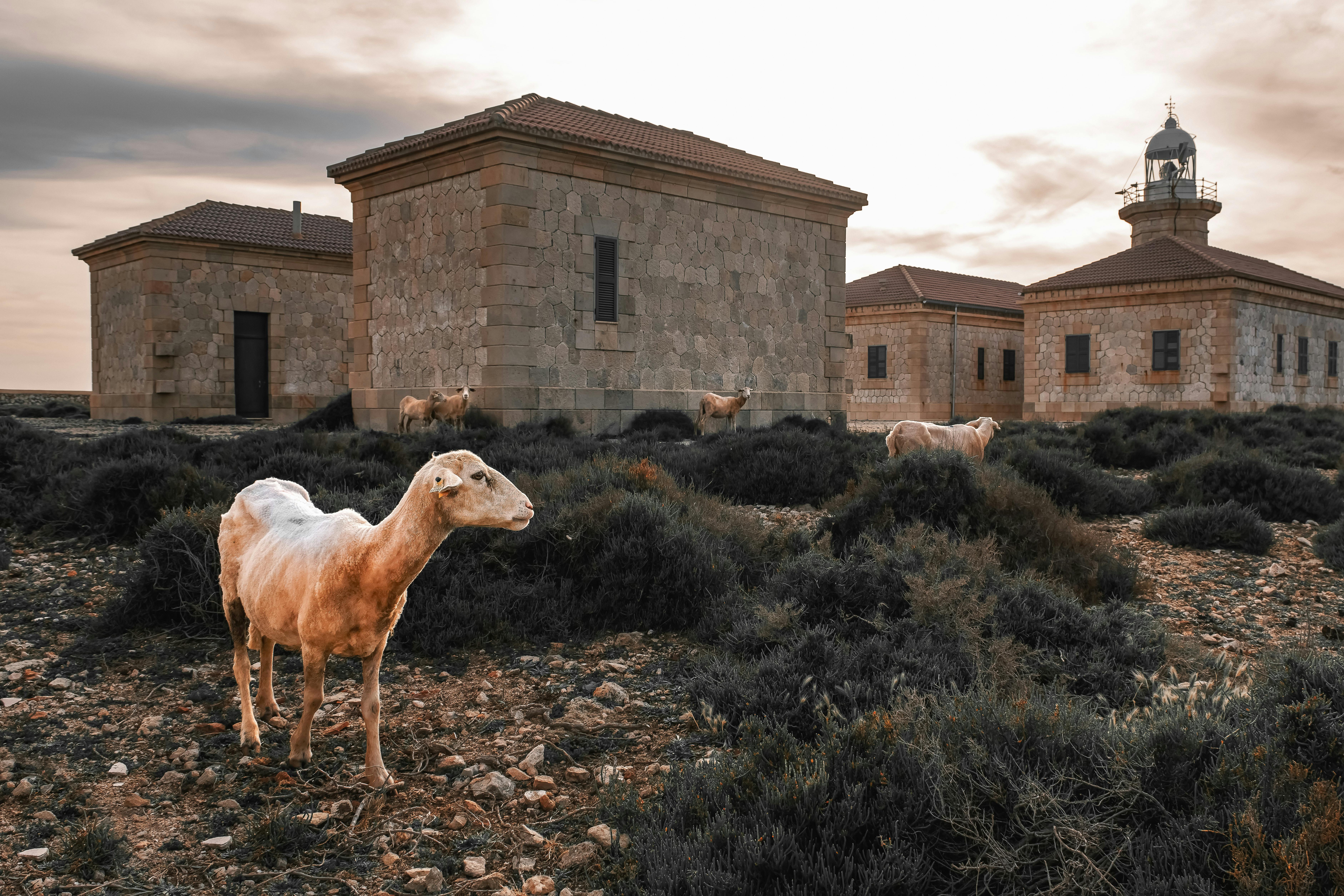 Landmarks in Menorca