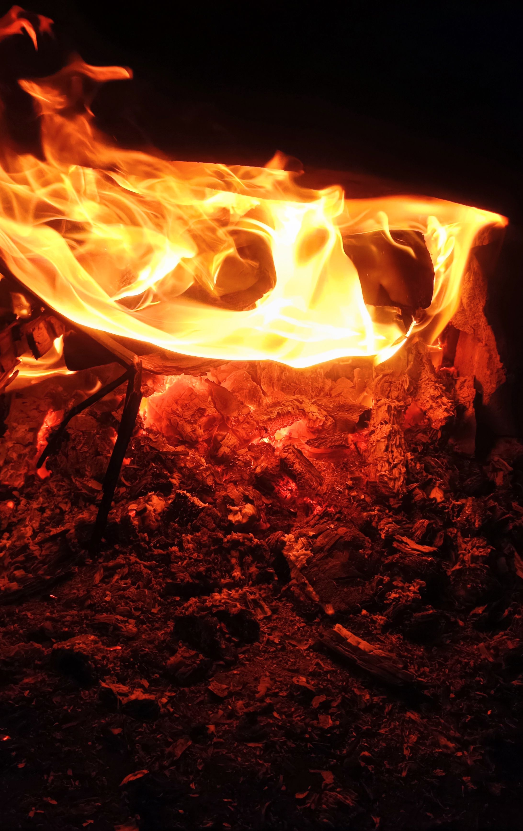 Close-up of Campfire Flames and Burning Embers · Free Stock Photo