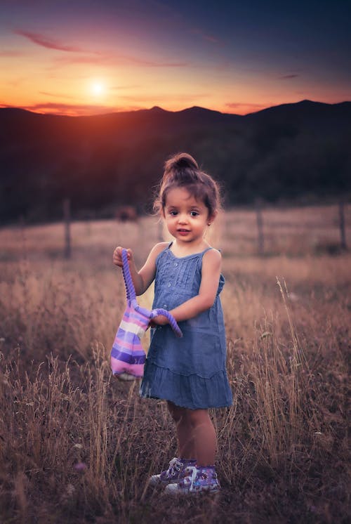 日没時に芝生のフィールドに立っている青いドレスの少女