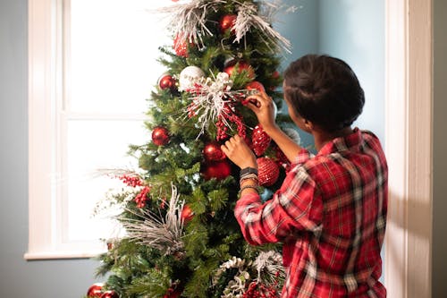 Foto d'estoc gratuïta de afroamericà, arbre de Nadal, decoracions nadalenques