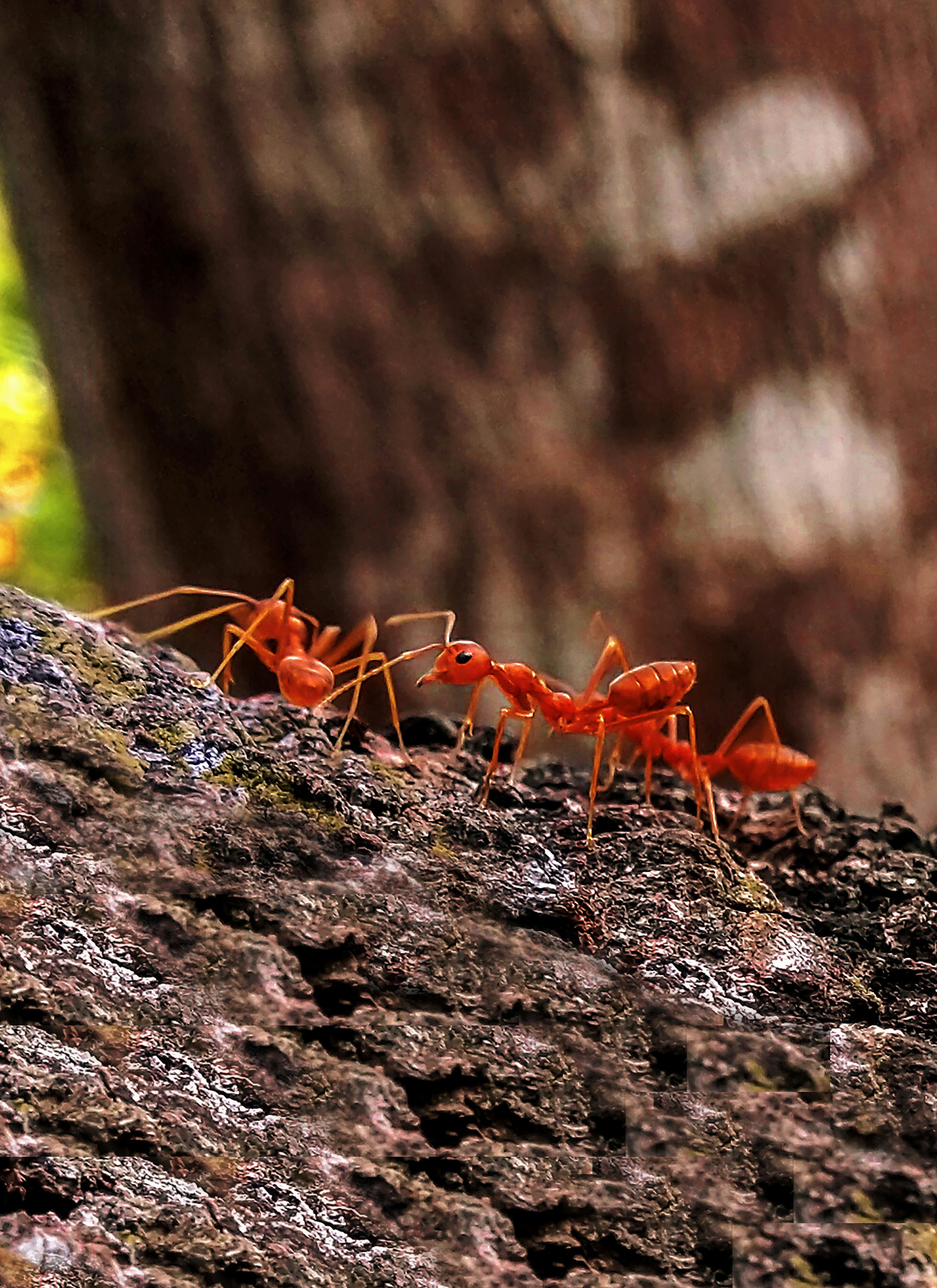 Scoreboard and stadium lights at a baseball game