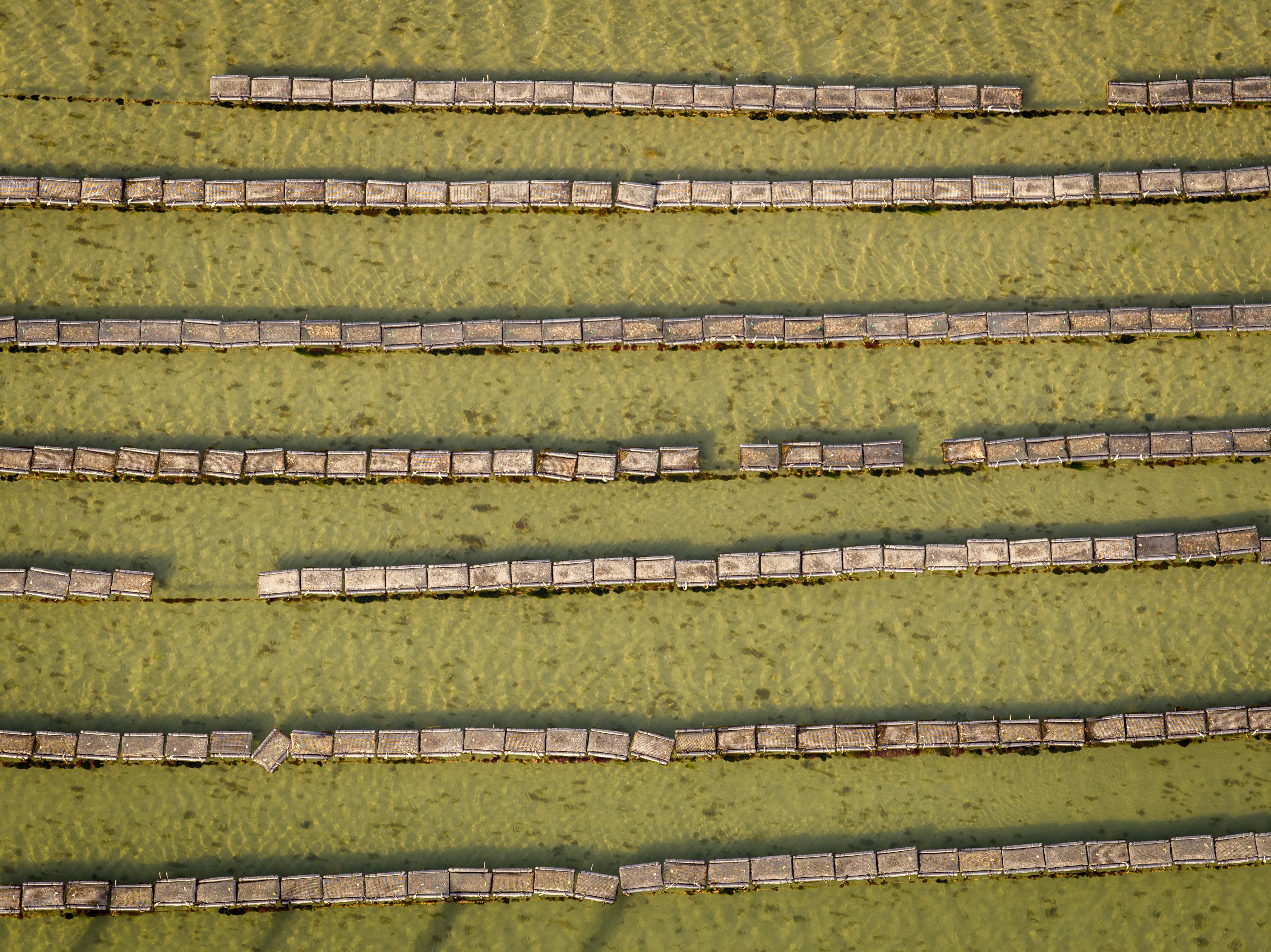 Hierarchically tracking aquaculture effluent in waters by microbial fingerprints-driven machine learning ensemble — Photo by 