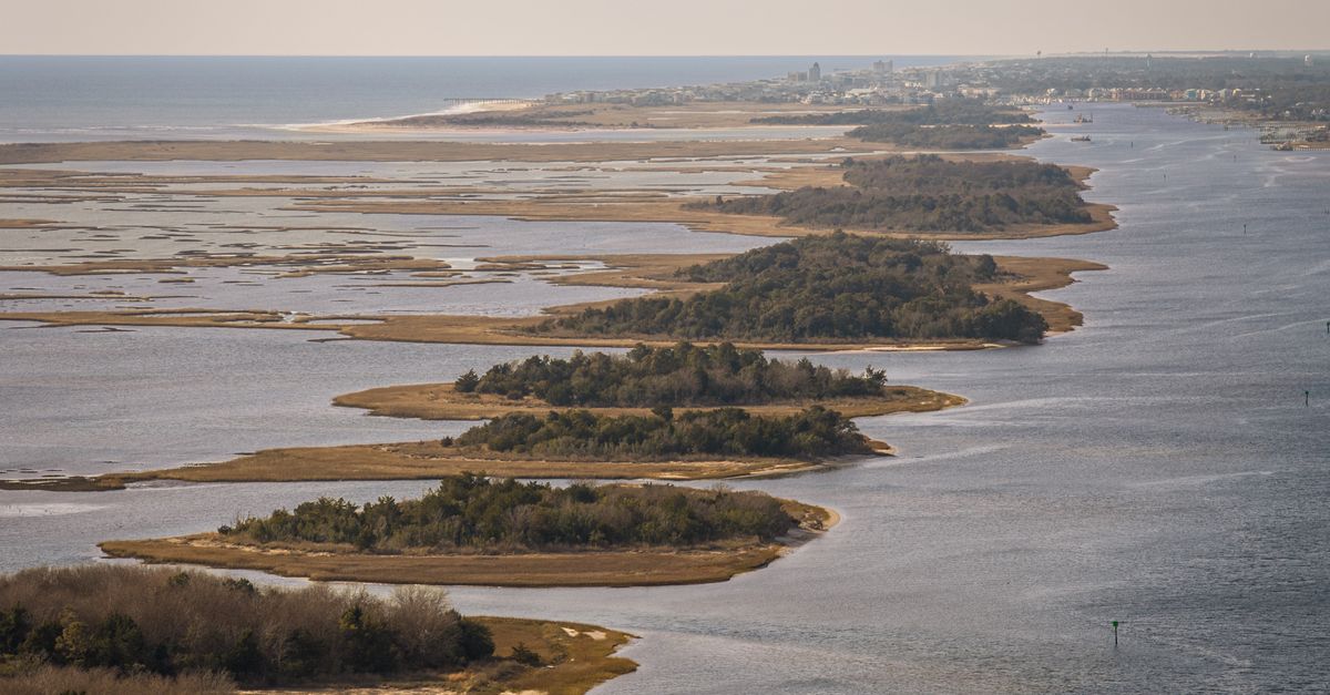 Breathtaking aerial view of the serene Carolina coastline with lush islands and calm waters.