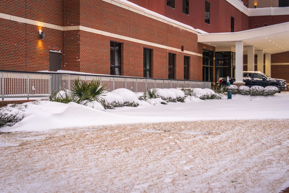 Preventing driveway salt and snowplow damage to front lawns — step-by-step reference media