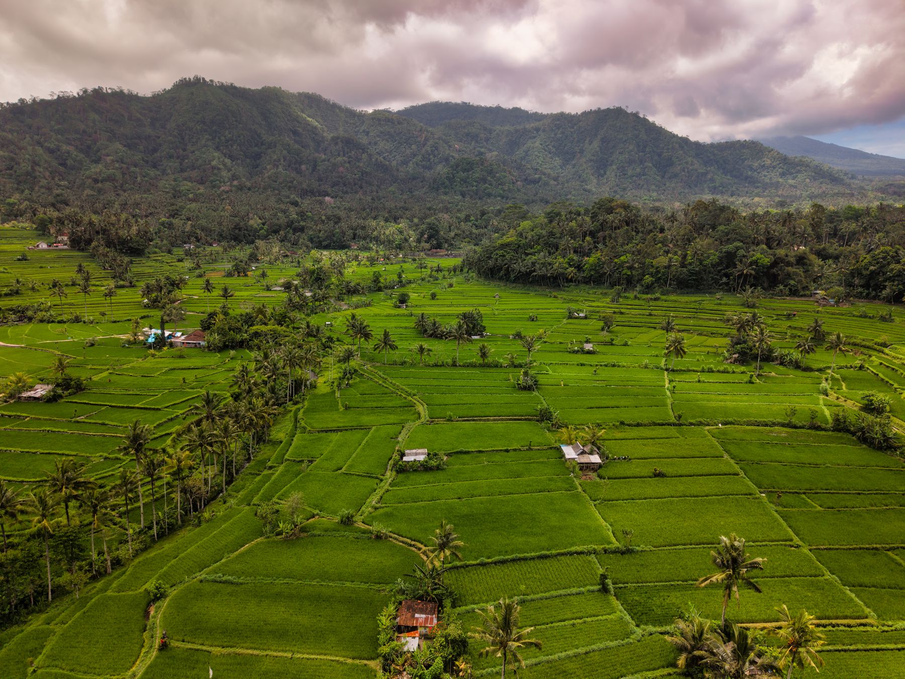 Vista aérea de terraços de arroz verde vibrante em Bali, emoldurados por montanhas e céus nublados.
