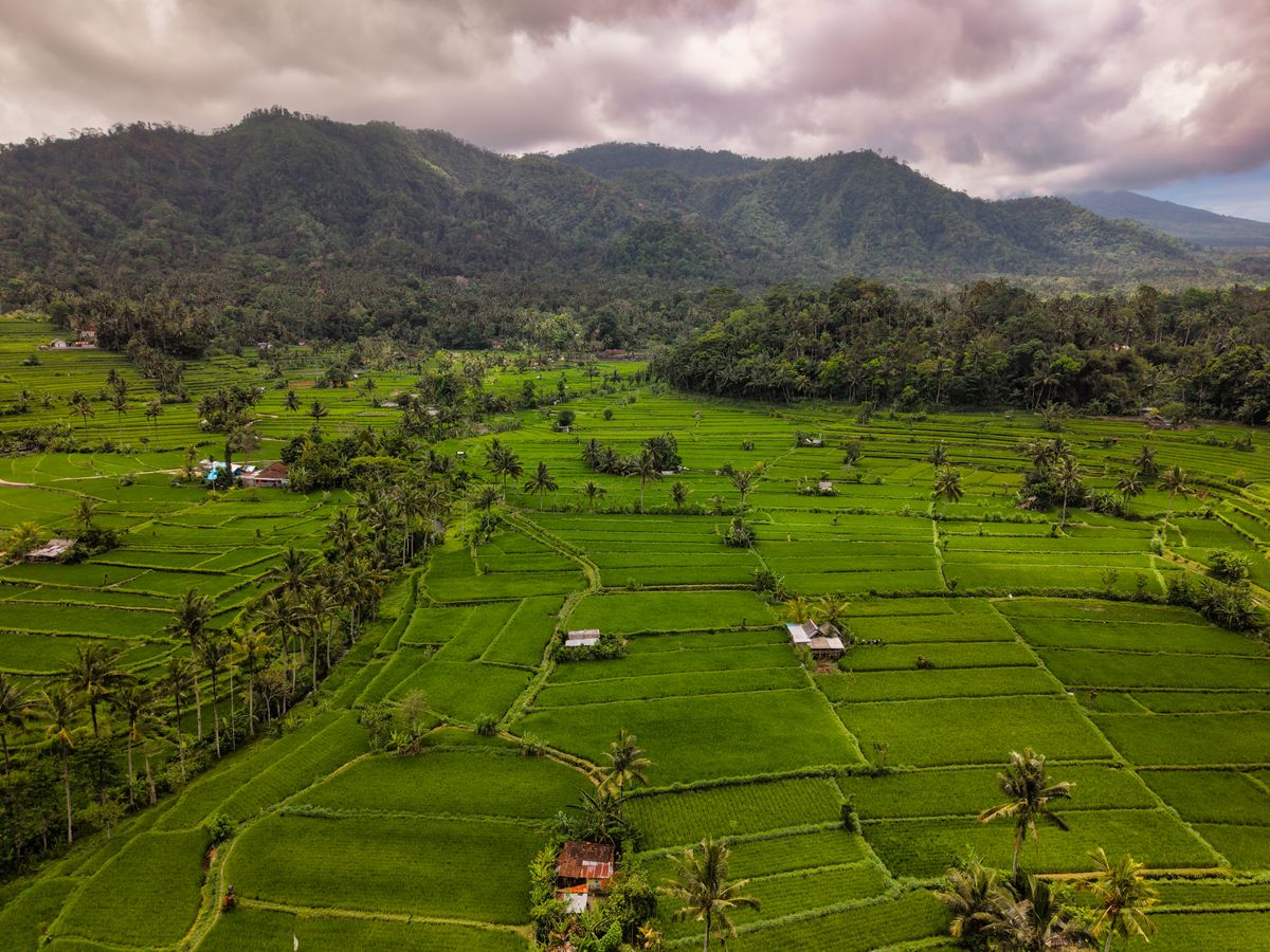 21 Day Relaxing Self Discovery with Yoga Spa Wellness in Bali 3