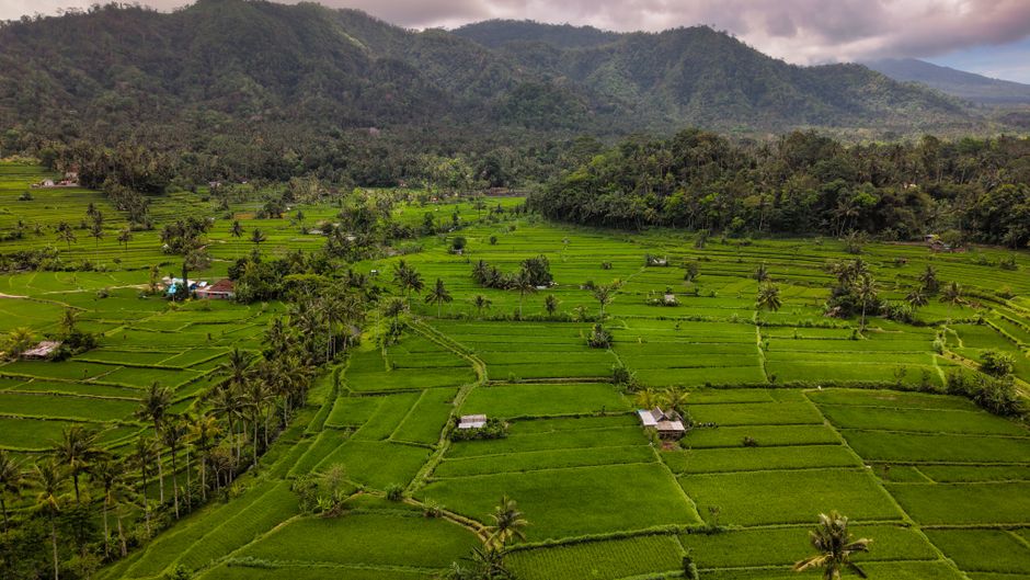 bali weather april
