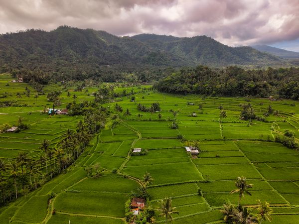 Bali Island Explorer - Stays
