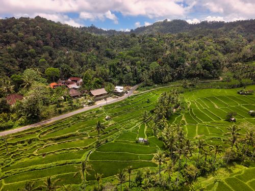 Free Lush green rice terraces in Bali's mountainous landscape under clear skies. Stock Photo