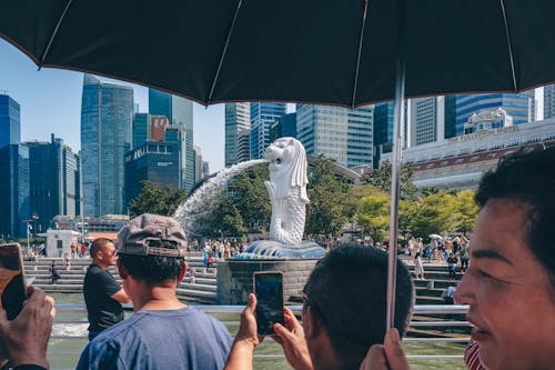 Free stock photo of central business district, crowded, merlion