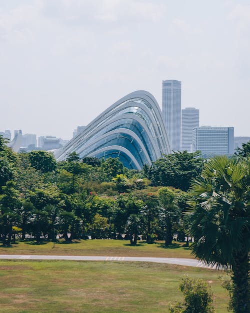 Photos gratuites de des jardins sur la baie, singapour, tourisme