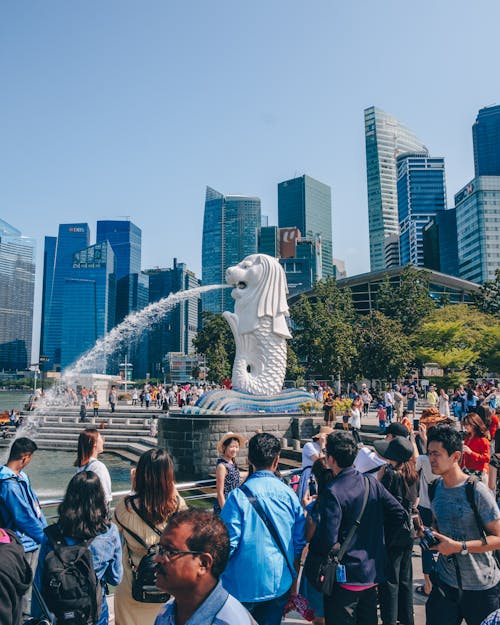 Photos gratuites de merlion, sg, sg local