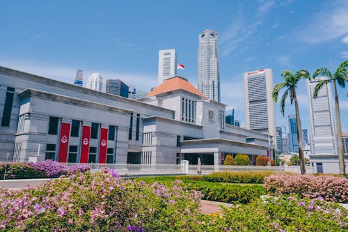 Free stock photo of government, singapore