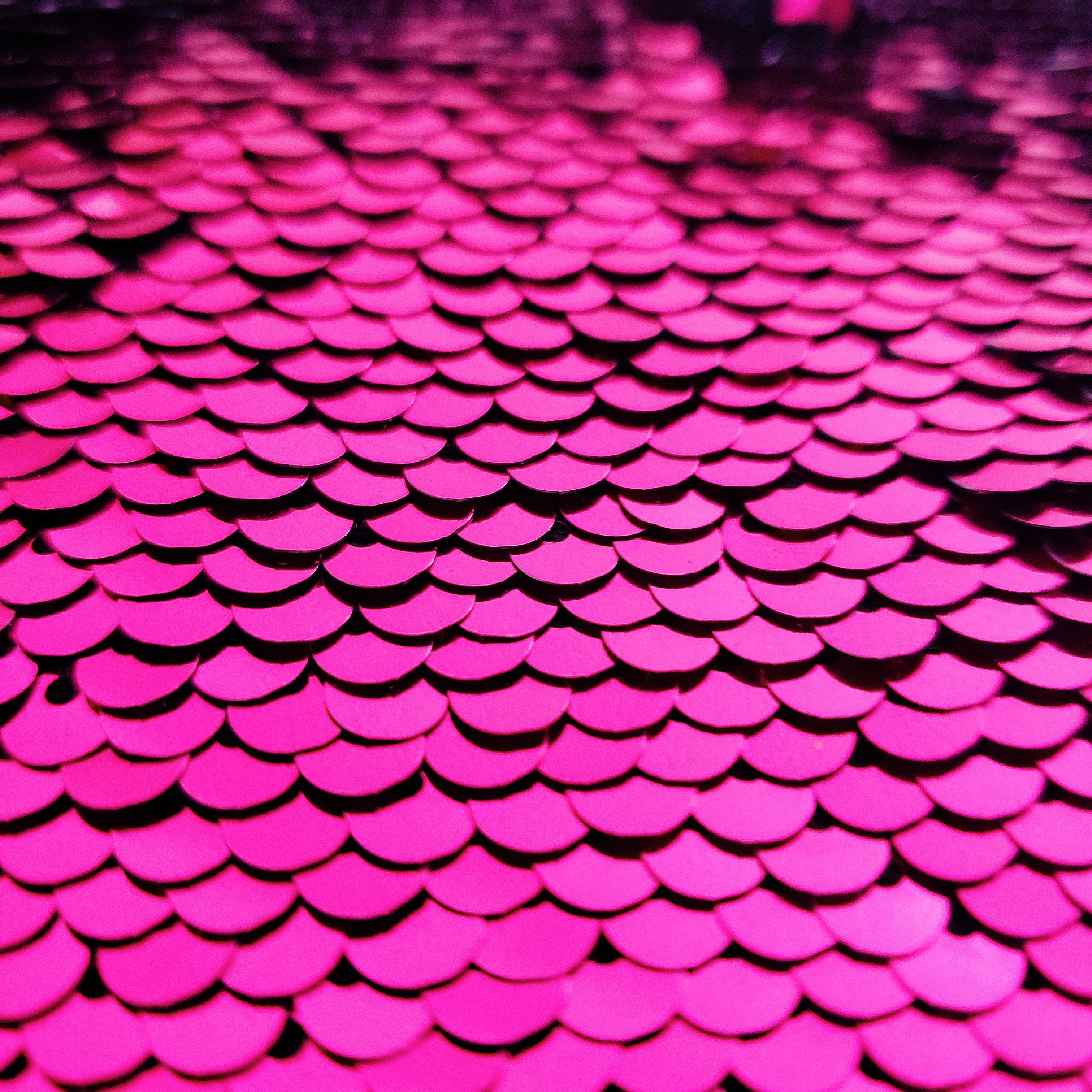 Vibrant Pink Scales Pattern Closeup · Free Stock Photo