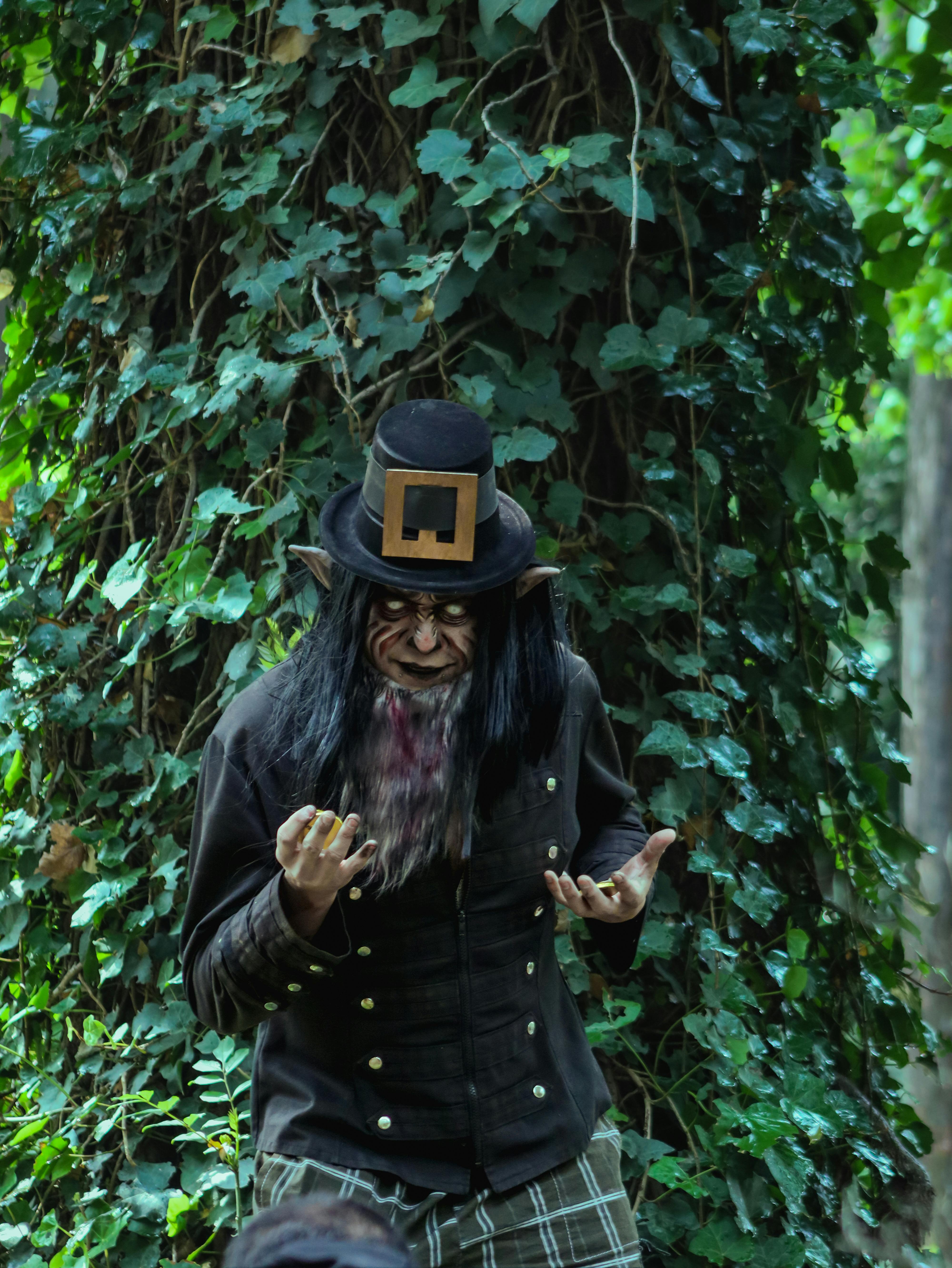 grátis Foto profissional grátis de América do Norte, ao ar livre, árvores Foto profissional