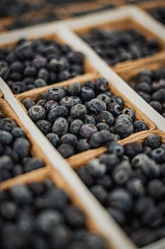 Closeup of fresh blueberries in open wooden cartons at a market.