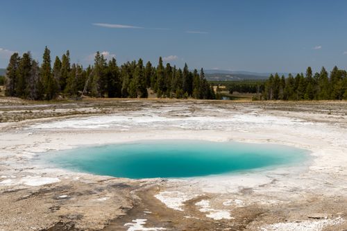 Free Captivating view of a turquoise hot spring surrounded by lush forest in Yellowstone National Park. Stock Photo