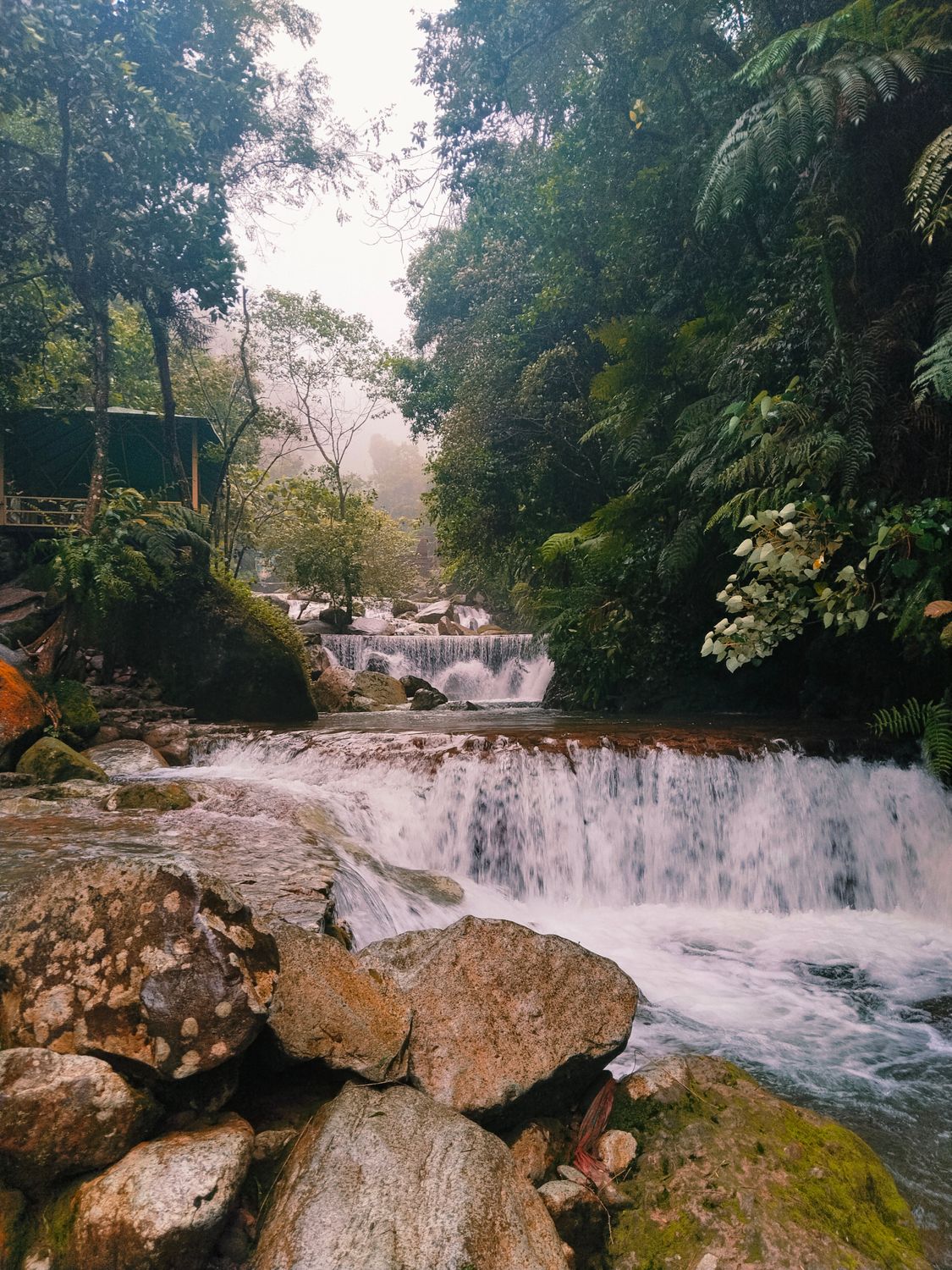 Serene Forest Waterfall in Lush Greenery · Free Stock Photo