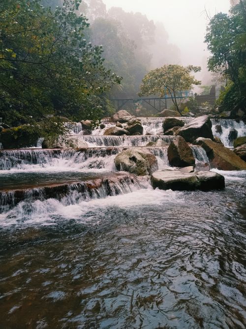 Free Tranquil cascading stream in lush forest mist ideal for nature and travel themes. Stock Photo