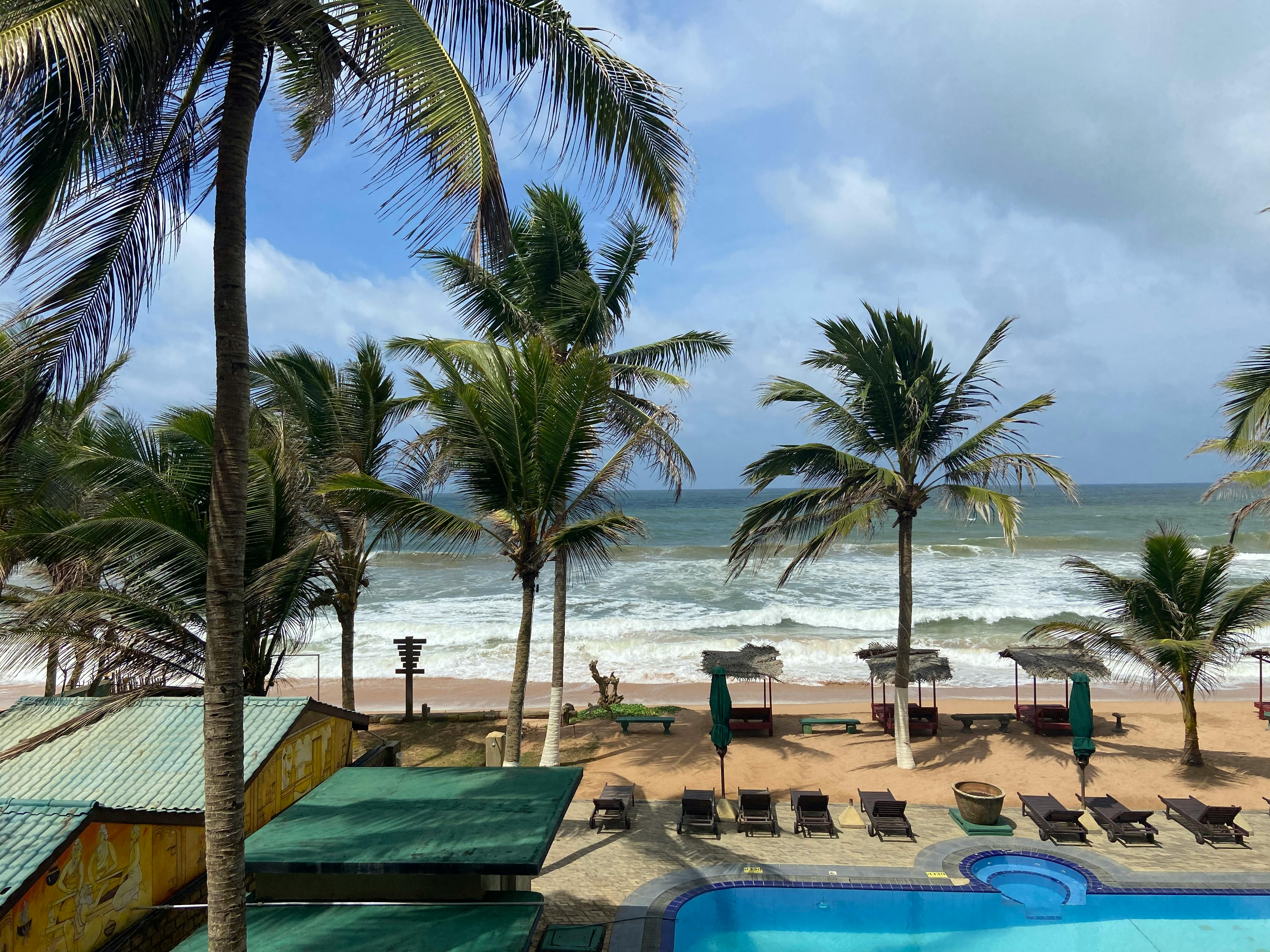 Hair care routine for damaged hair: Everything You Need to Know